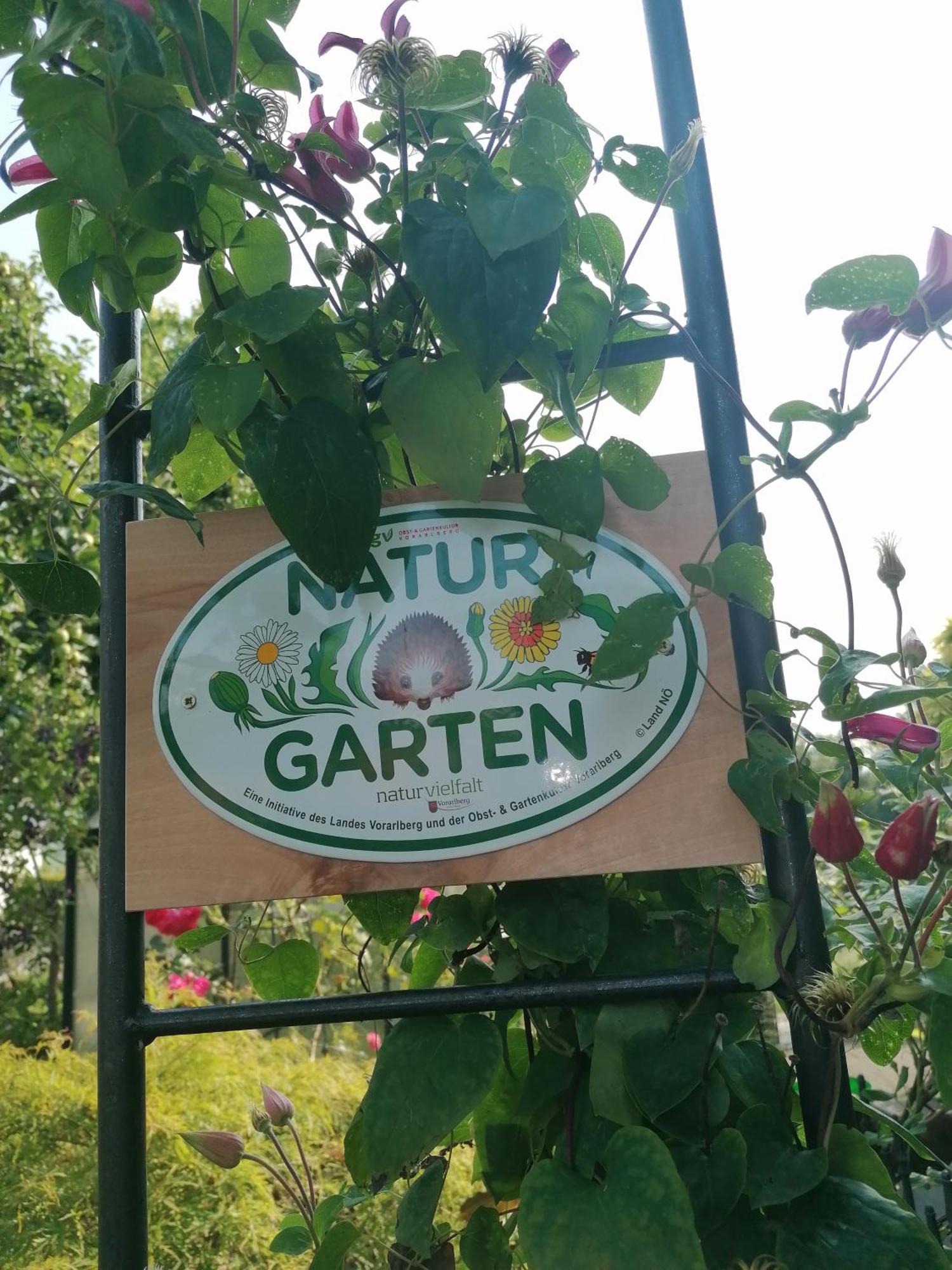 Ferienwohnung Am Rhein Koblach Bagian luar foto